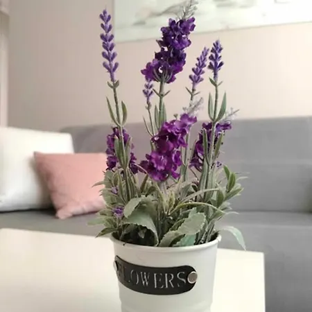 公寓 Dip 帕莫瑞